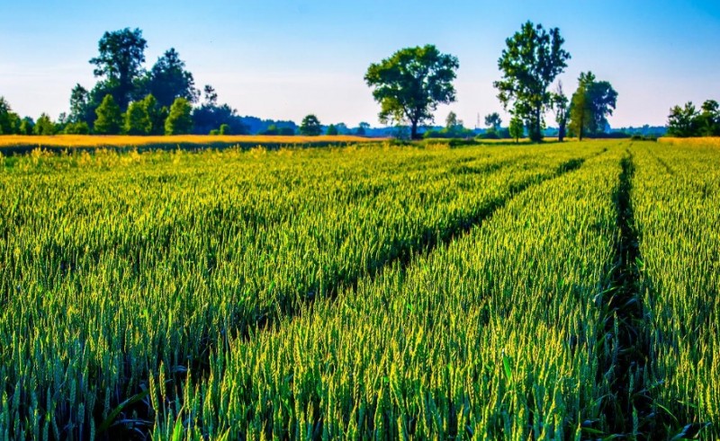 360截图20260109102426