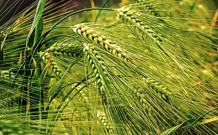 360截图20260109103210