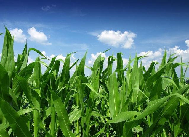 360截图20260109103343