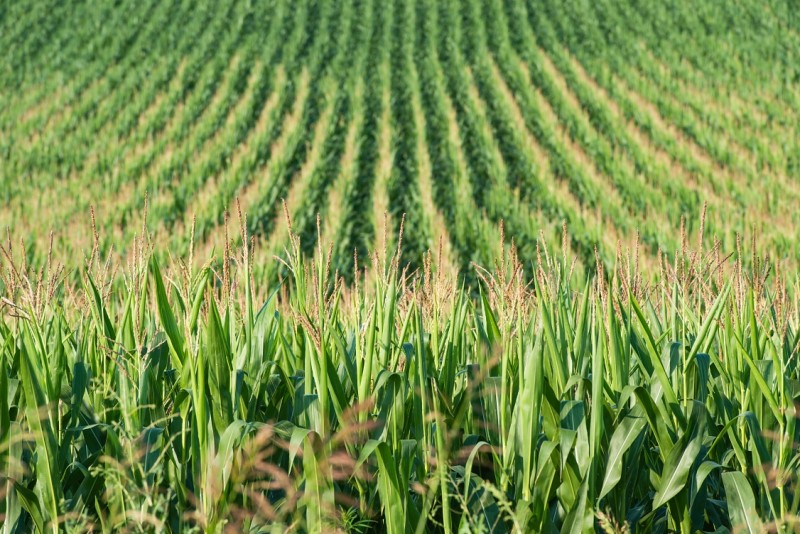 360截图20260109110534