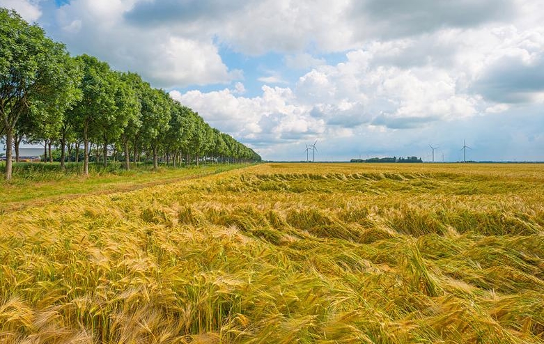 360截图20260109110655