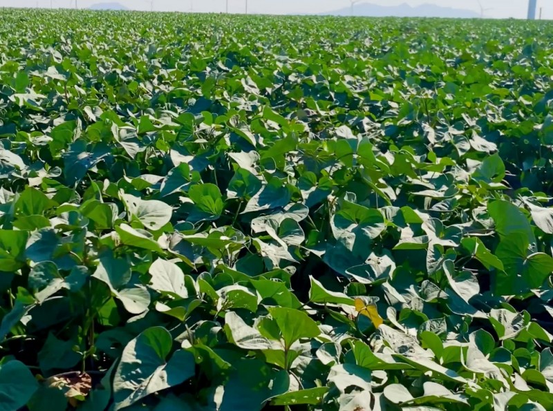 360截图20260109110922