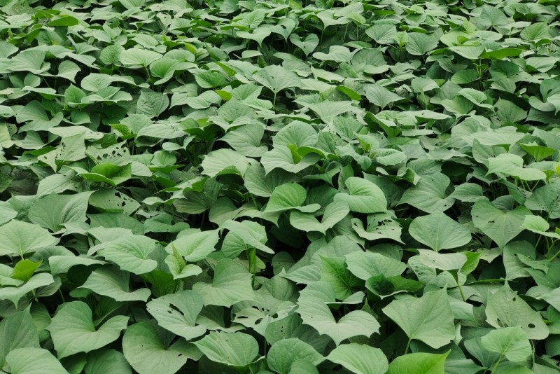 360截图20260109111859