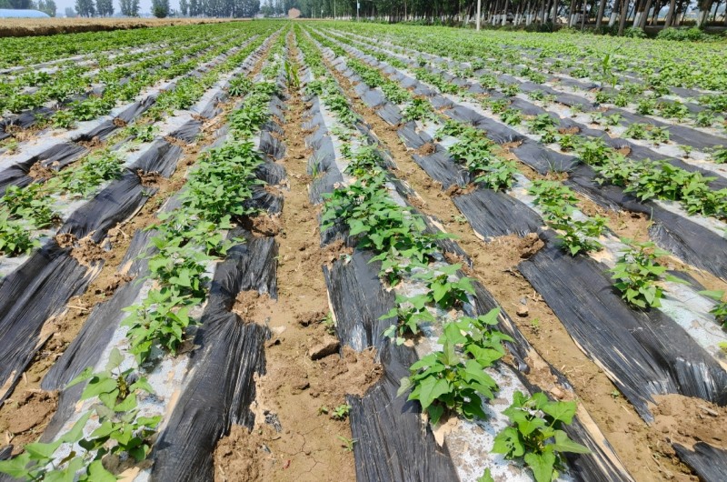 360截图20260109112017