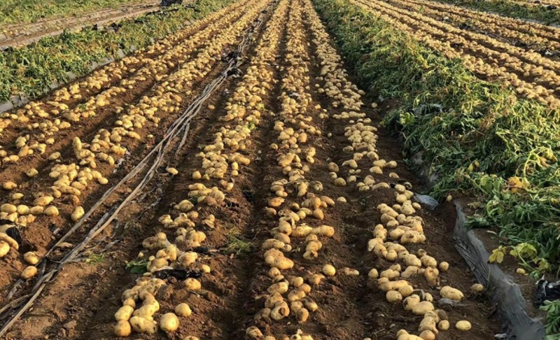 360截图20260109112234