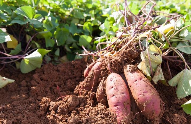 360截图20260109112448