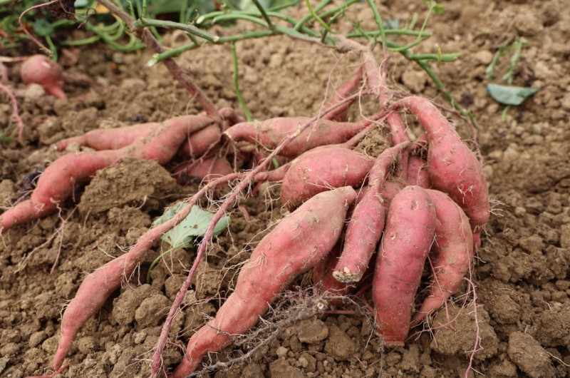 360截图20260109113531