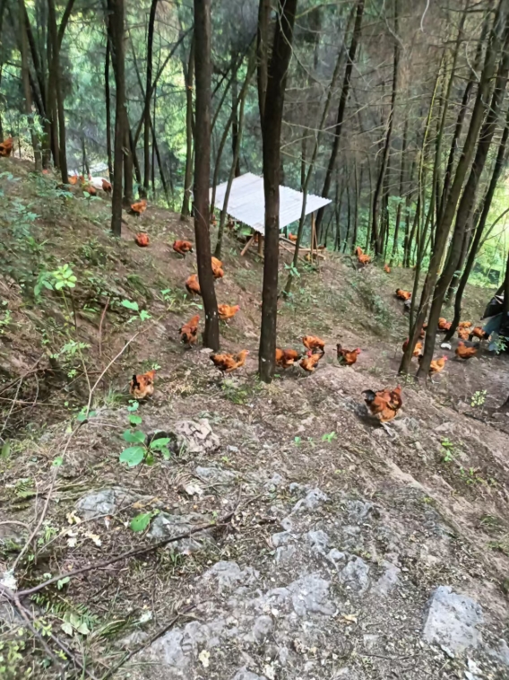 360截图20260109114200