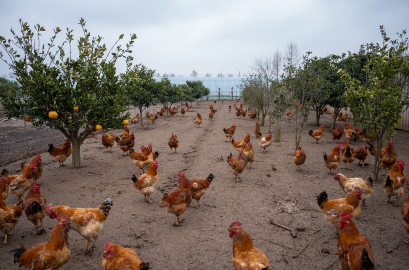 360截图20260109115131