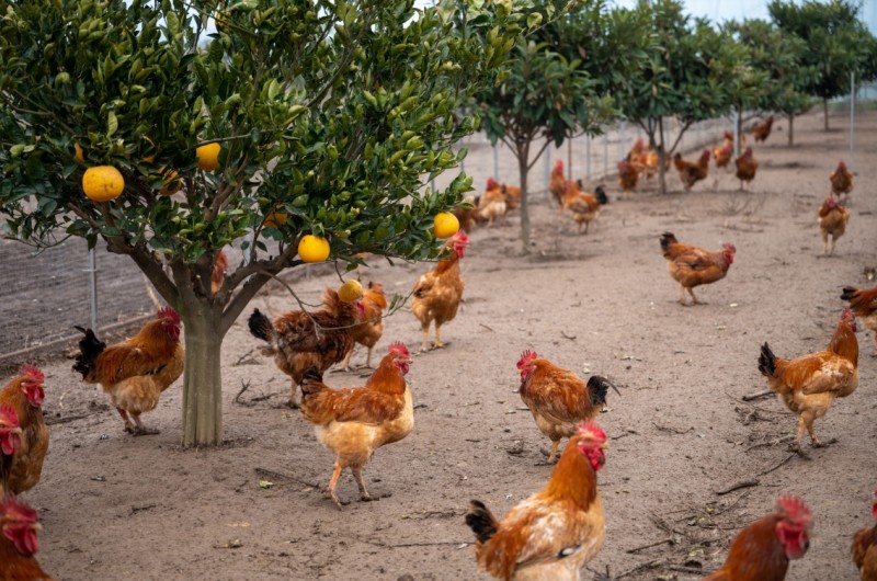 360截图20260109115449