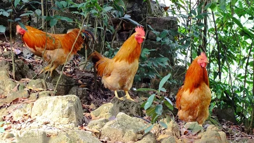 360截图20260109115702