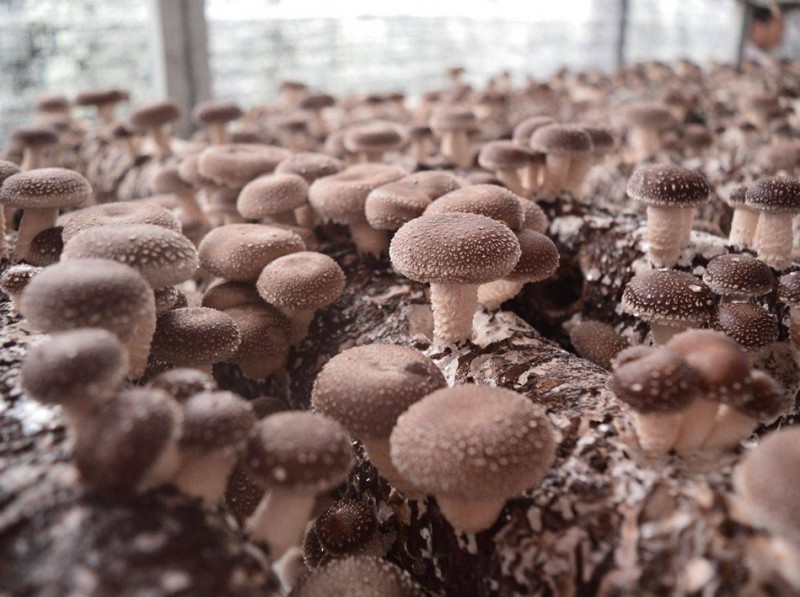 360截图20260109140309