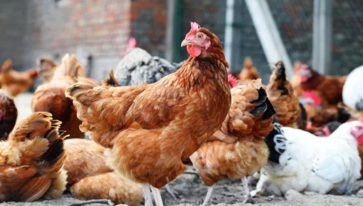 360截图20260109143956