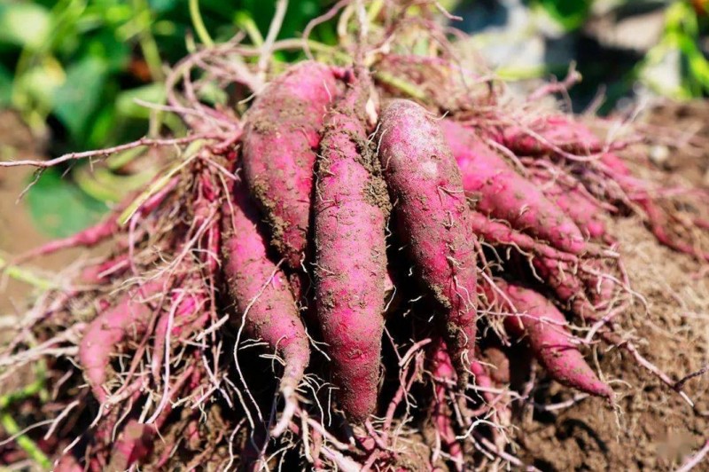 360截图20260109145857