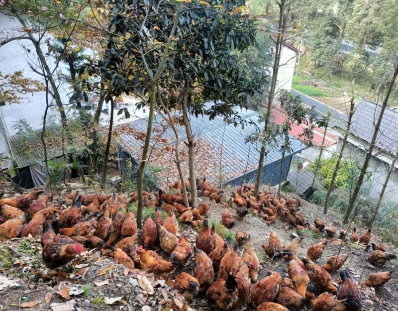 360截图20260109150325