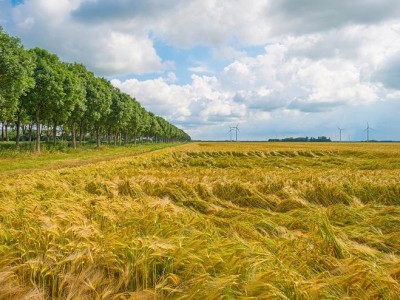 勉县科技赋能农民秋收路